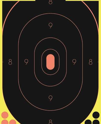 https-images.coreware.com-images-products-23932-14249755__62378.jpg Birchwood Casey Shoot-N-C 5-12x18in Targets #34605