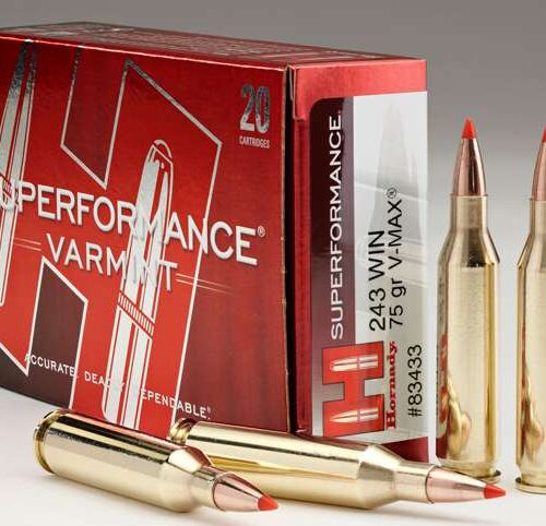 Hornady Superformance Varmint 243 Winchester Ammo 75 Grain Hornady V-Max Polymer Tip - 83433
