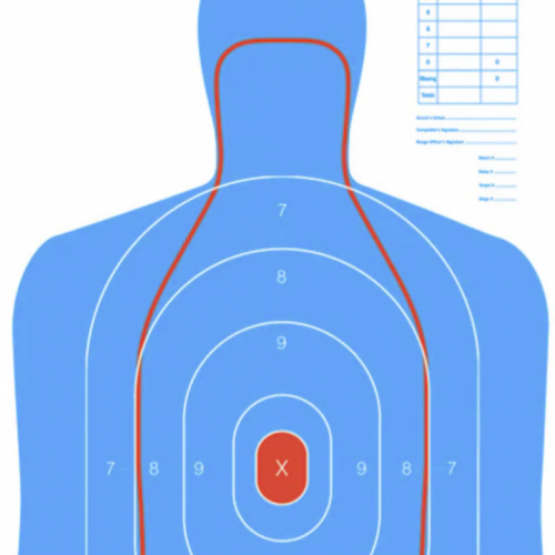 screenshot-2025-01-02-141456__15981.png Action Target Law Enforcement 23" x 35" Silhouette B-27E and FBI Q Combination Target, Blue/Red, 100/box - RC-B27E-Q-100