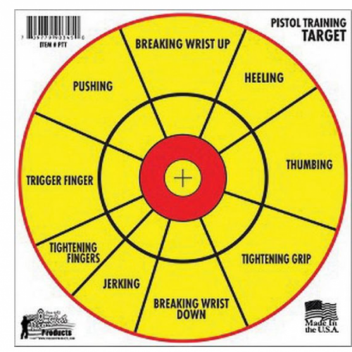 Pro-Shot Pistol Diagnostic Training Target Bullseye 12" 6PK #106367