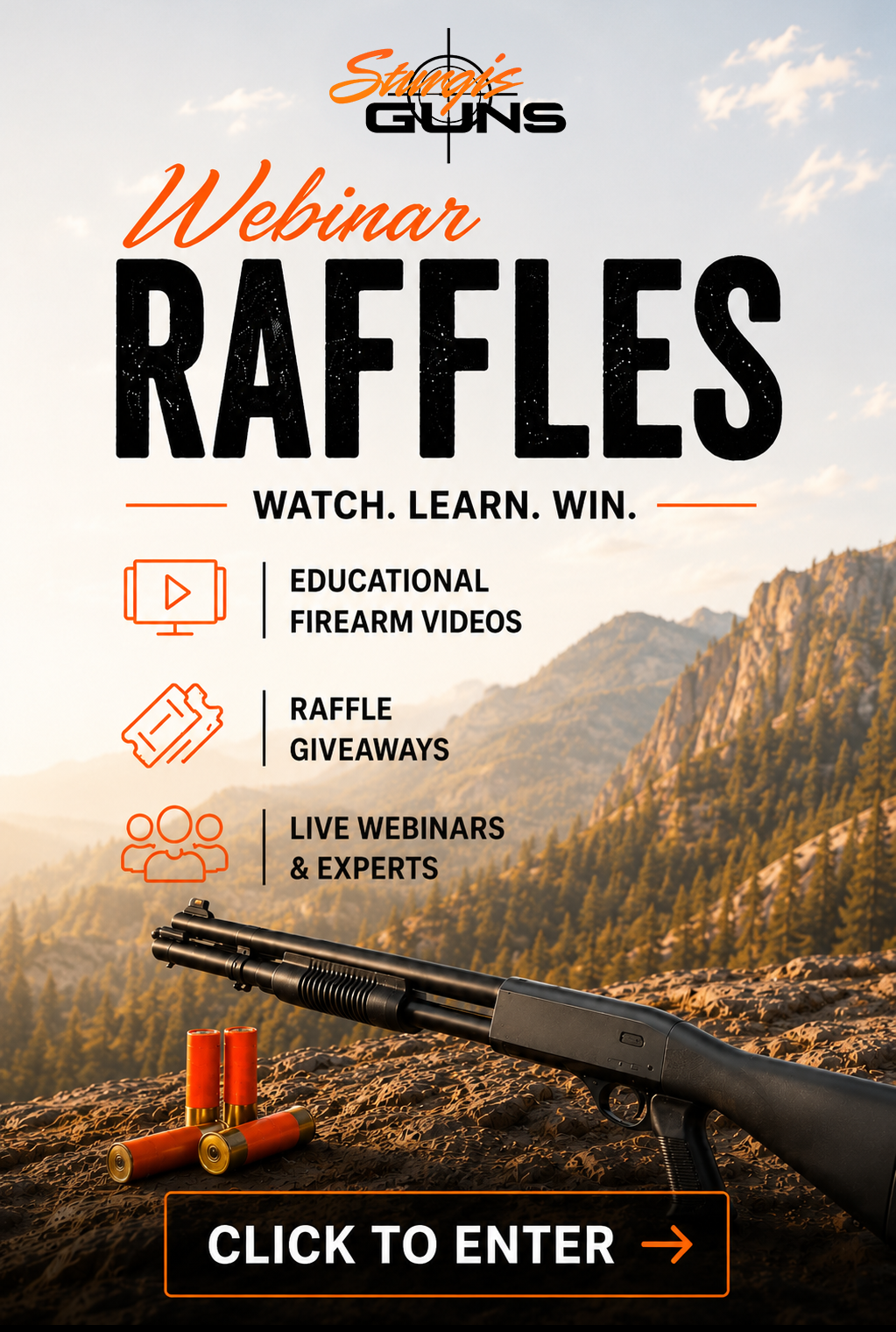 Webinar Raffles